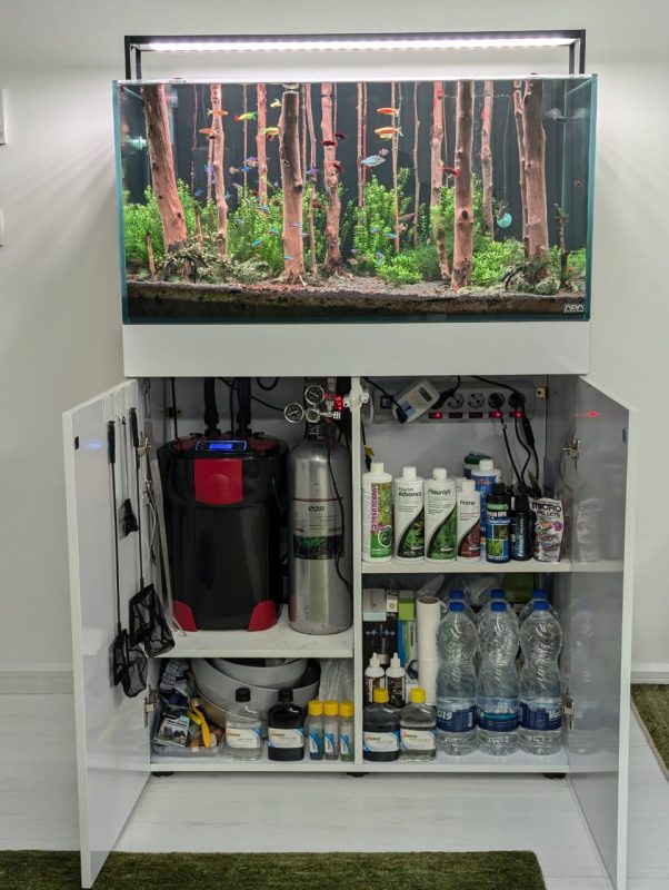 نمونه کار آکواریوم گیاهی