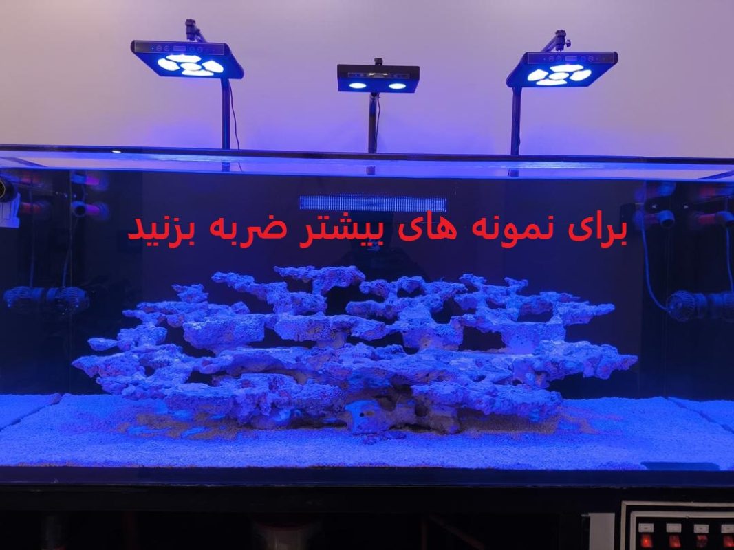 صخره طبقاتی آب شور