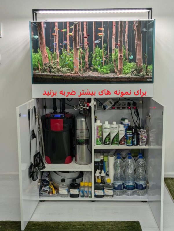 نمونه کار آکواریوم گیاهی