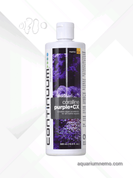 کورالاین پرپل سی ایکس کانتینیوم Purple CX
