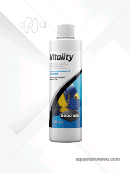 ویتالیتی سیچم Vitality