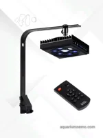 نور سیتی لایت جی 3 ctlite G3(نسل جدید)