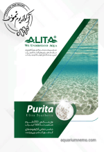 پیوریتا - Image 3