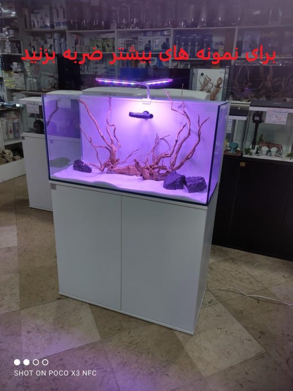 نمونه کار آکواریوم آب شیرین