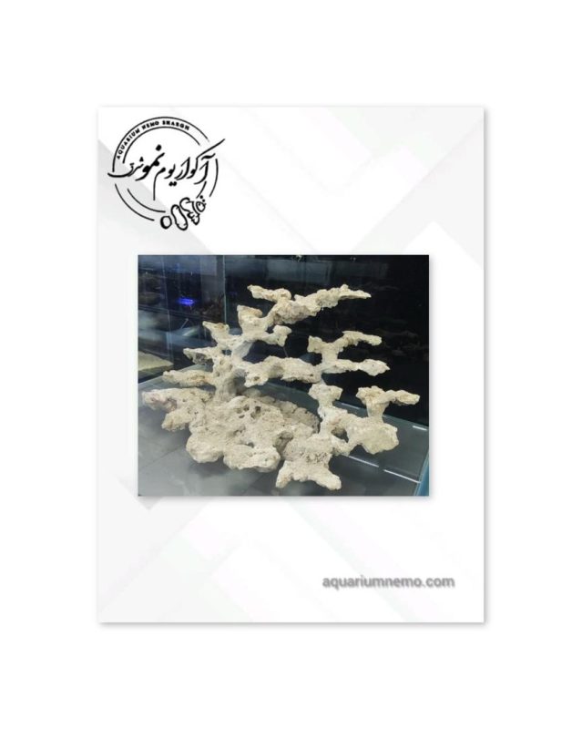 صخره طبقاطی 13