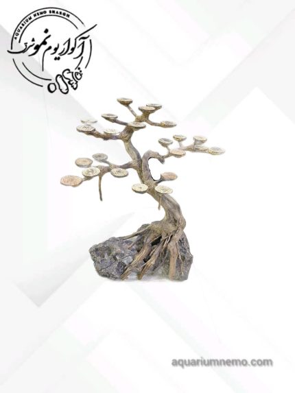 درختچه بنسای طبقاتی 2