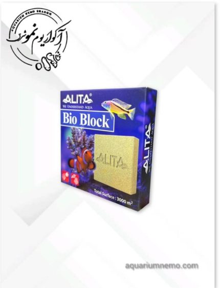 بلوک فوق متخلخل آلیتا