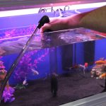 تعویض آب آکواریوم