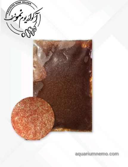 دافنی منجمد