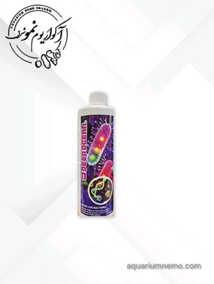 لیکویید لایو باکتری دیپ اوشن