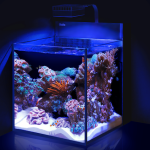 آکواریوم نانو