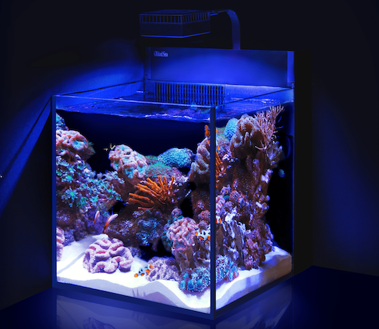 آکواریوم نانو