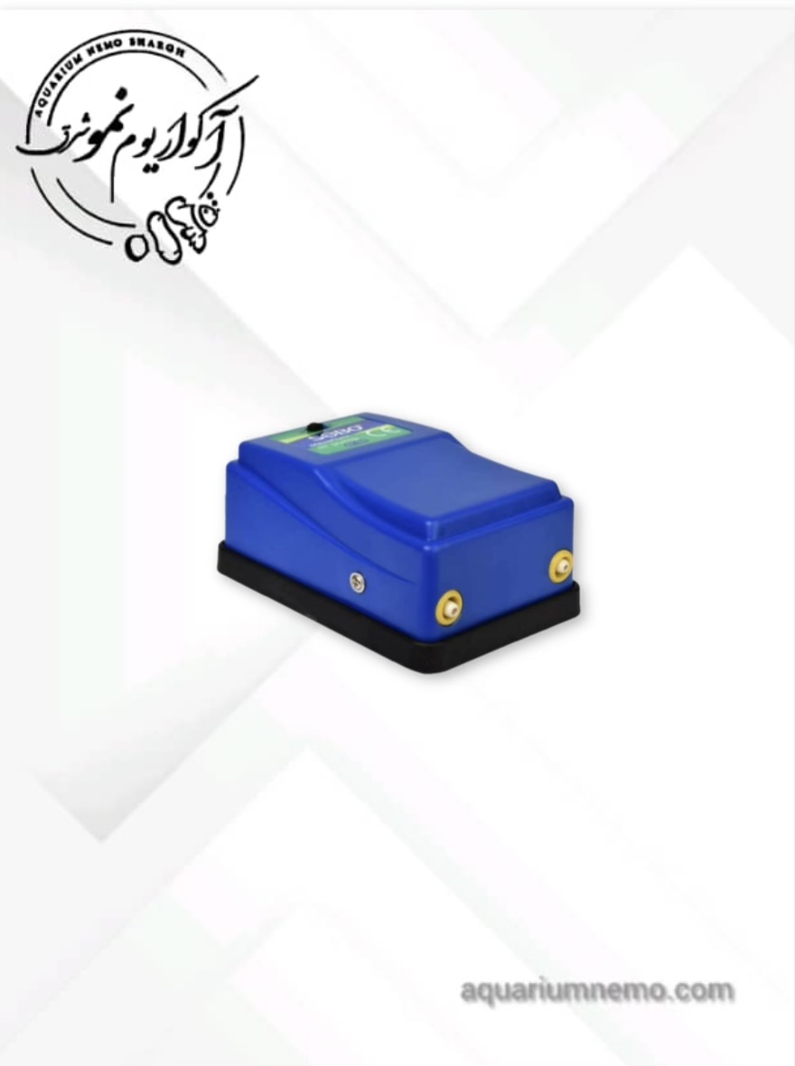 photo-output پمپ هوا ایشن استار مدل ap-500 - Image 1